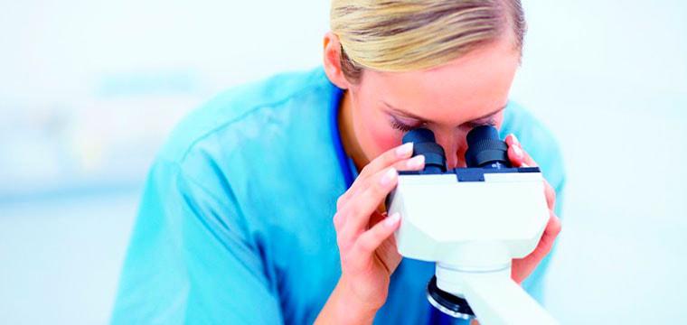 Визуализация раздела Выездная программа