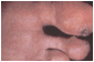 image012.gif