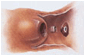 image016.gif