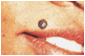 image008.gif