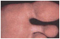 image018.gif